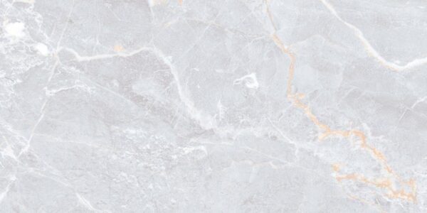 Forest High Gloss Tiles 600x1200mm - Premium Nature-Inspired Tiles
